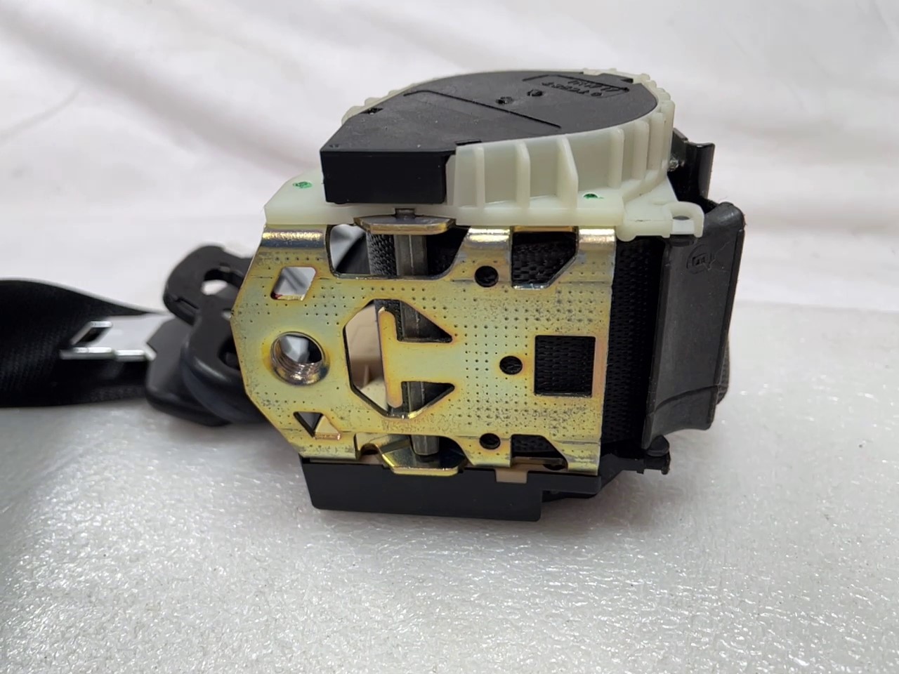 2022-05-12 124802.jpg